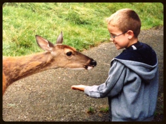 8c5e1d_df165e86811a41faa49d0bd545a778d8