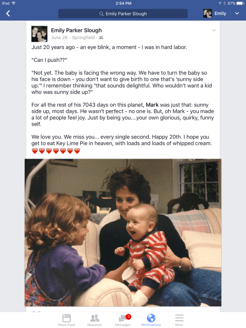 8c5e1d_46bb015f321b4b3b86a7967117f5faa6-mv2_d_1536_2048_s_2