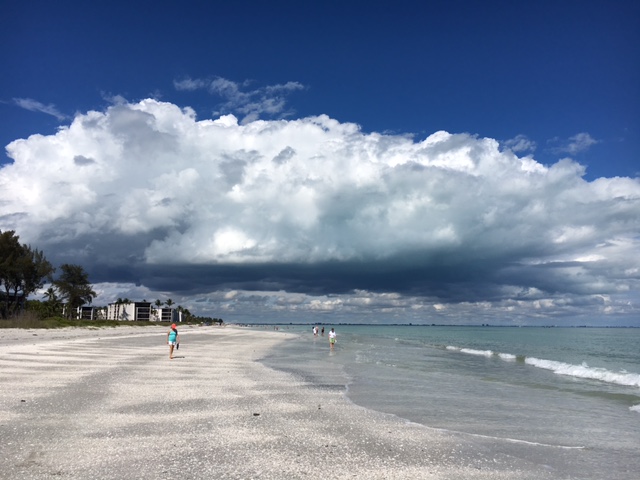 8c5e1d_f9eda6970f2c47939a81f2b9da47ba60-mv2