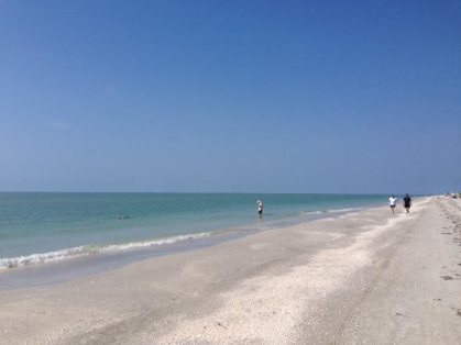 8c5e1d_c8d28e8285ff406fa61c908c41bc71c9