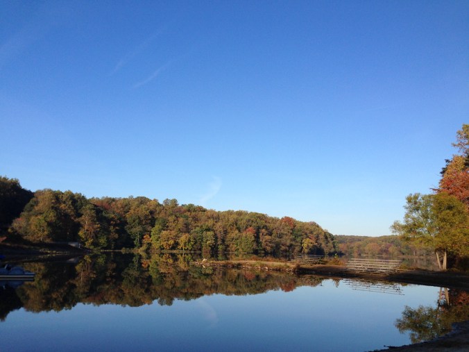 8c5e1d_e202d9e01cc24f4a84921cf2d893551e