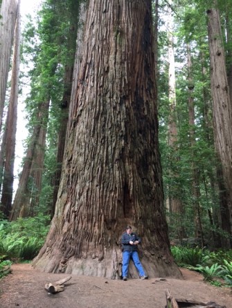 8c5e1d_ec95efef941946efa8b4f28142fd22ed-mv2